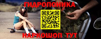 бутират Кингисепп